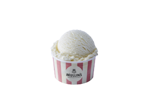 Mullins Vanilla ice cream Tub 45x100ml