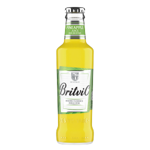 Britvic Pineapple Juice 24x200ml NRB