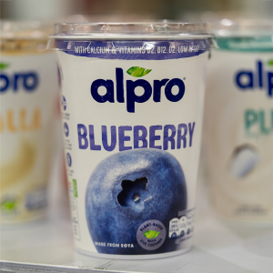 Alpro Big Pot Blueberry 6x500g