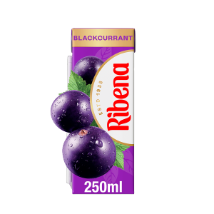 Ribena Blackcurrant 24x250ml
