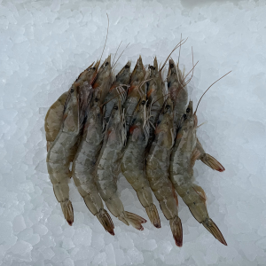 Keenan Seafood 31/40 Raw Crevettes 1kg