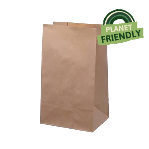 Paper Bag No Handle Large 1x500