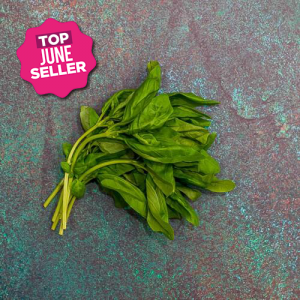 First 4 Fruit Basil 200g Each