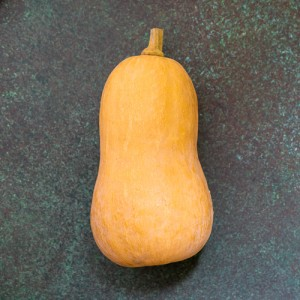 First 4 Fruit Butternut Squash (Each)