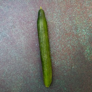 First 4 Fruit Cucumber 14x1