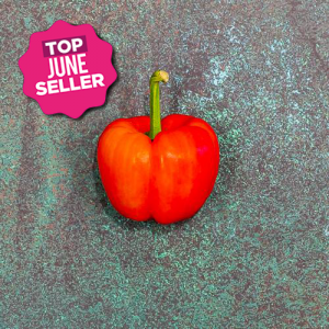 First 4 Fruit Red Peppers 5kg
