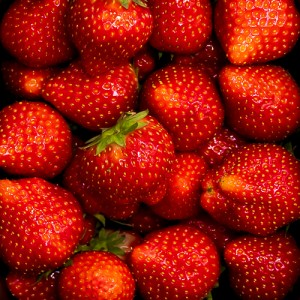 First 4 Fruit Strawberries 500g (Each)