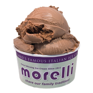 Morelli Chocolate Ice Cream 4x4ltr